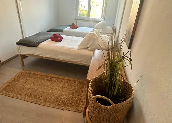 Zorica Biograd Na Moru